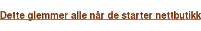 Dette glemmer alle når de starter nettbutikk