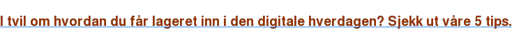 I tvil om hvordan du får lageret inn i den digitale hverdagen? Sjekk ut våre 5 tips.
